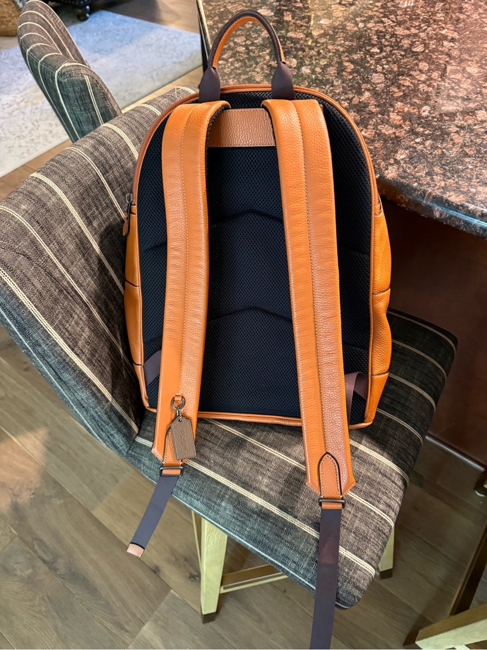 COACH West backpack w/ Coach stripe - Picture 4 of 9